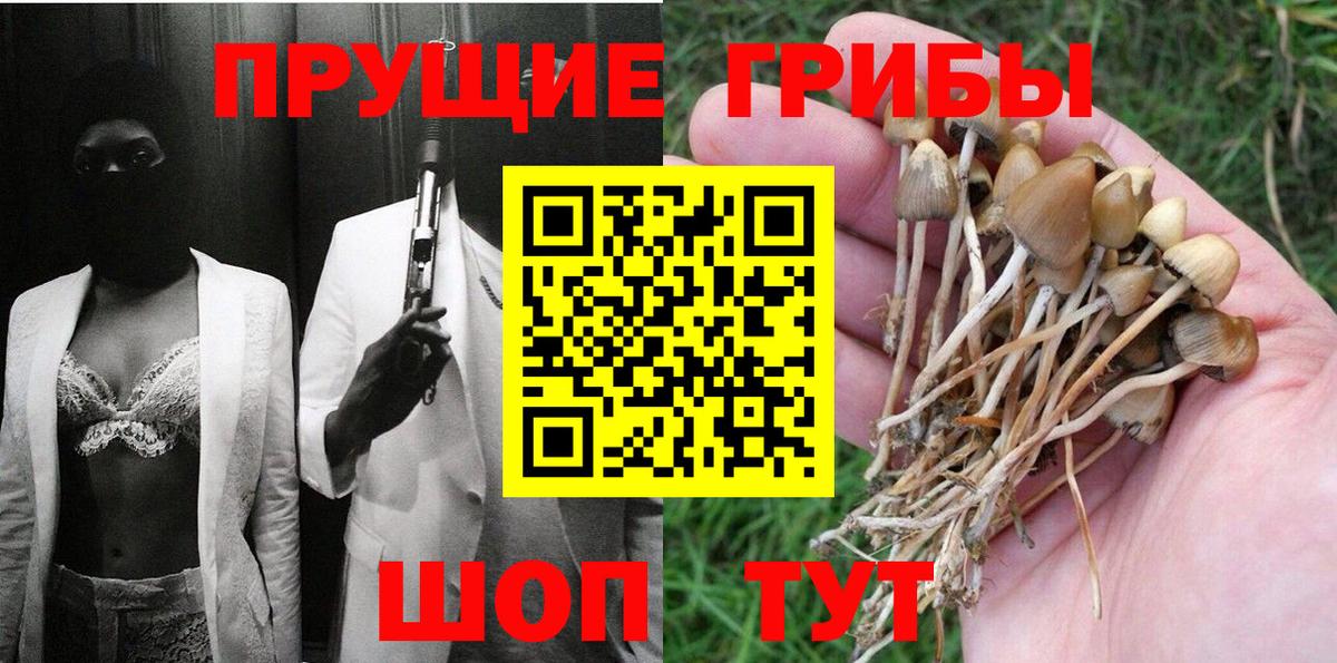 Псилоцибиновые грибы Psilocybine cubensis  Вход с VPN  Рязань 