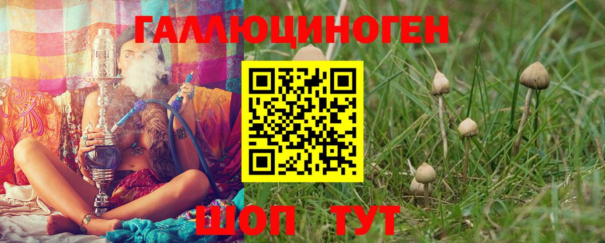 Галлюциногенные грибы Magic Shrooms Рязань